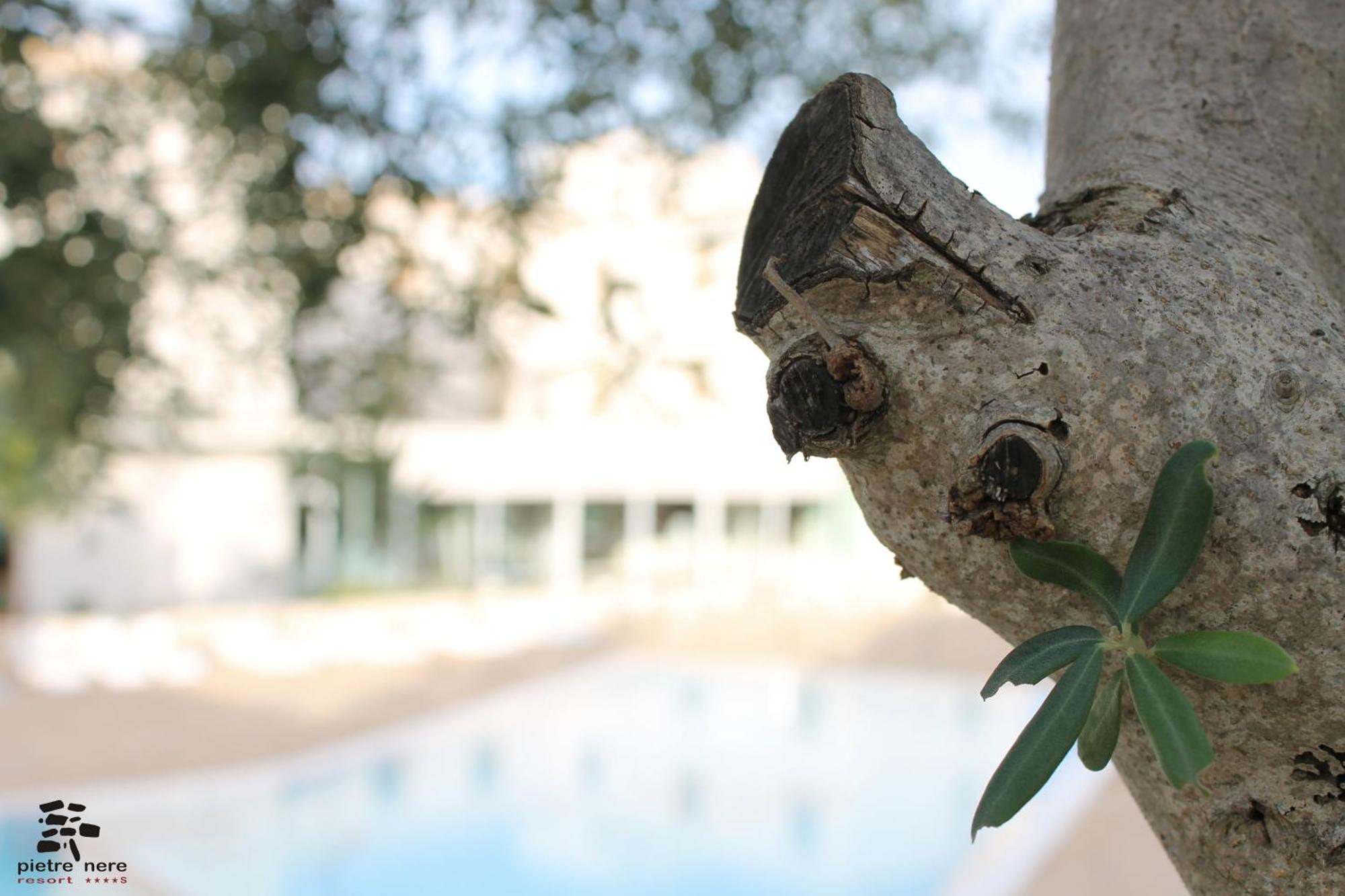 Pietre Nere Resort & Spa Modica Exteriér fotografie